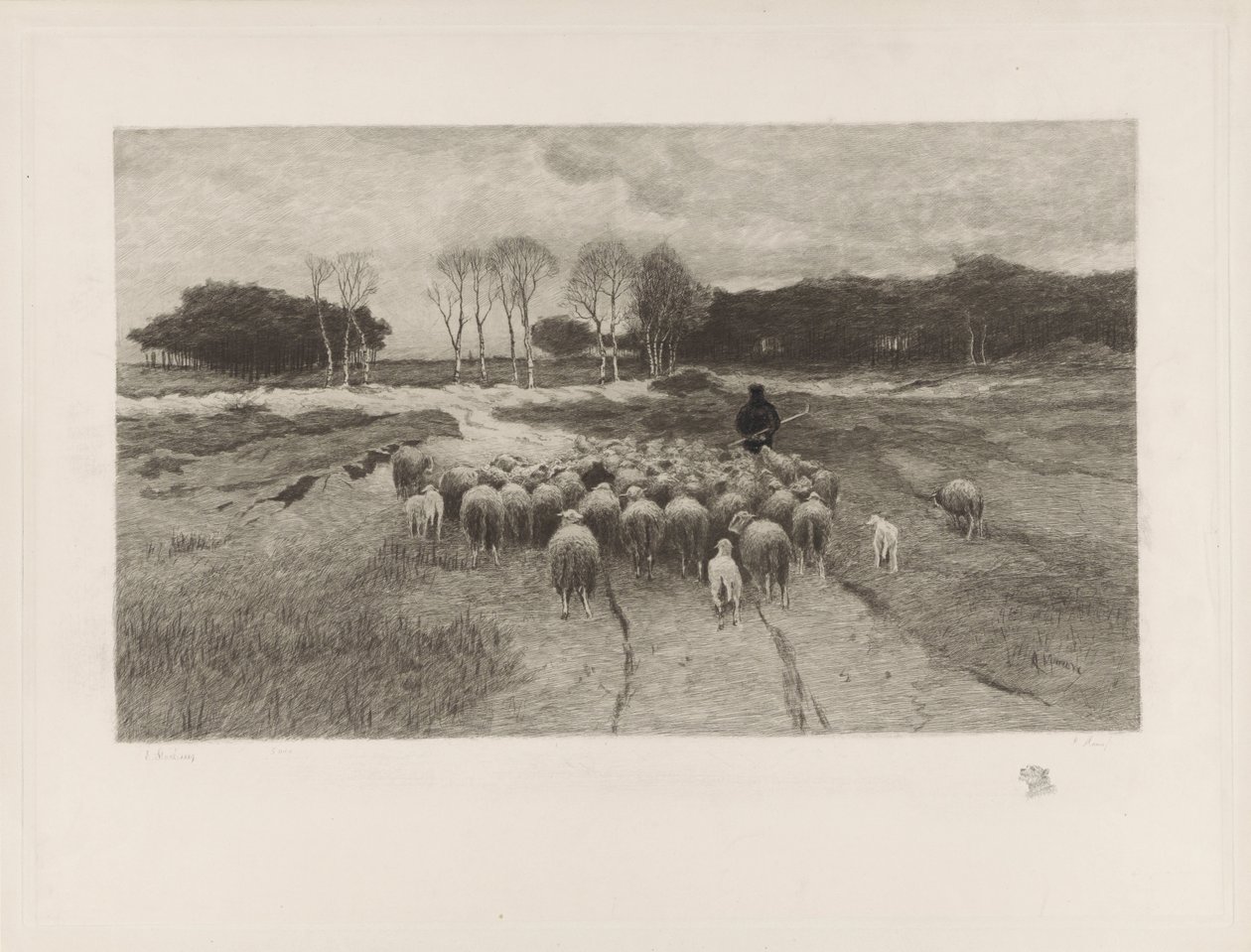 Shepherd by Elias Stark