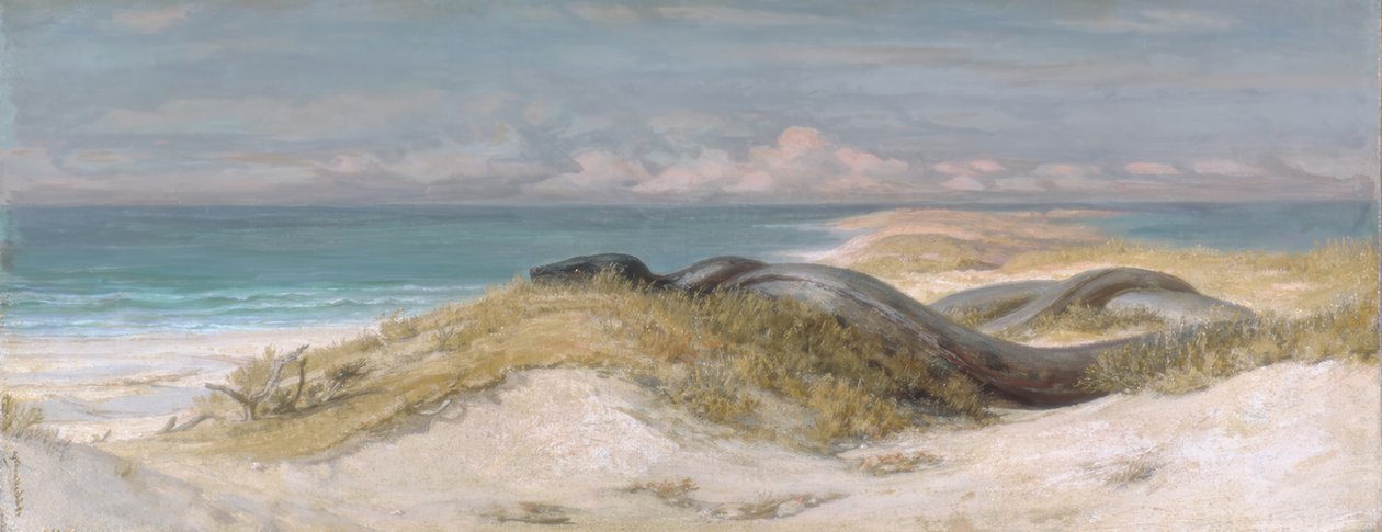 Cave of the Sea Serpent by Elihu Vedder