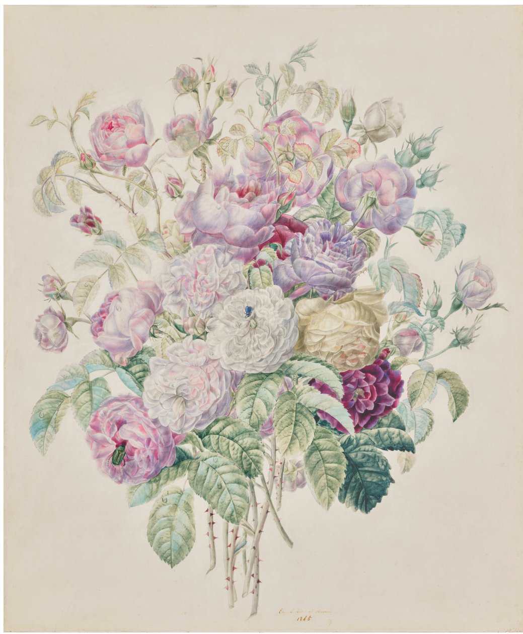 A Bouquet of Bourbon Roses by Elisa Emilie Lemire