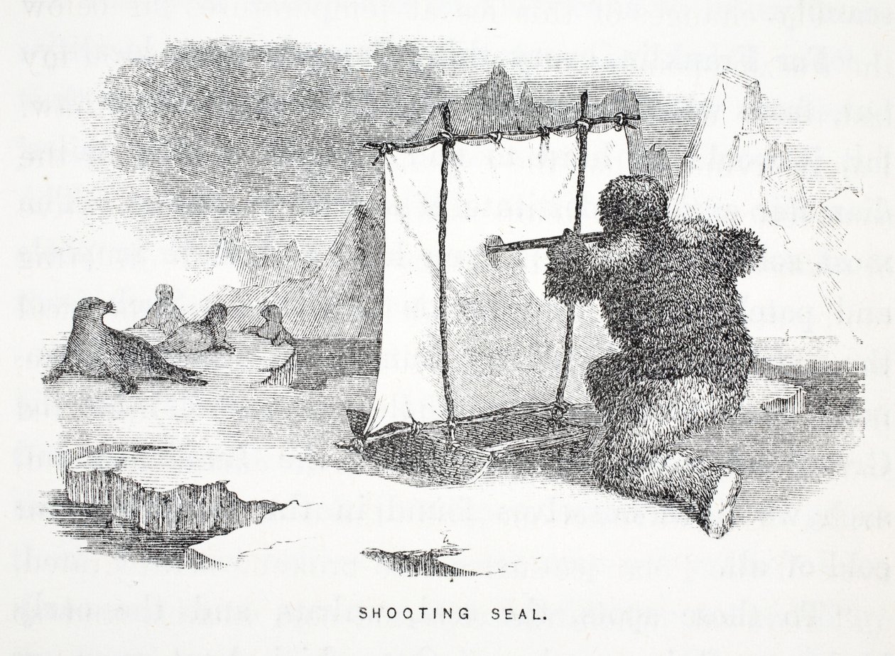 Shooting Seal (illustration from 