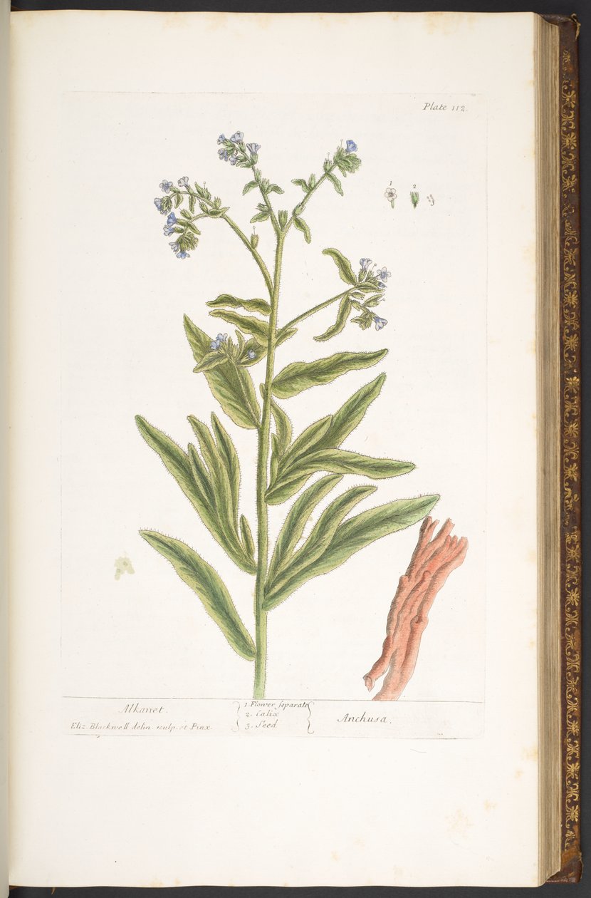 Plate 112, from 