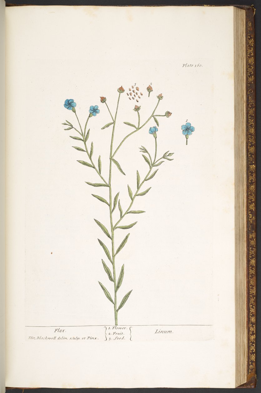 Plate 160, from 