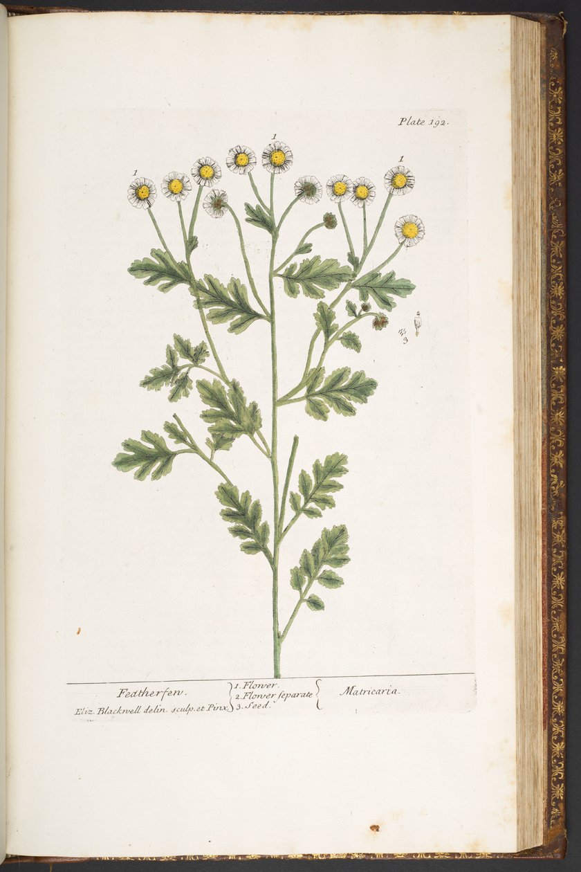 Plate 192, from 