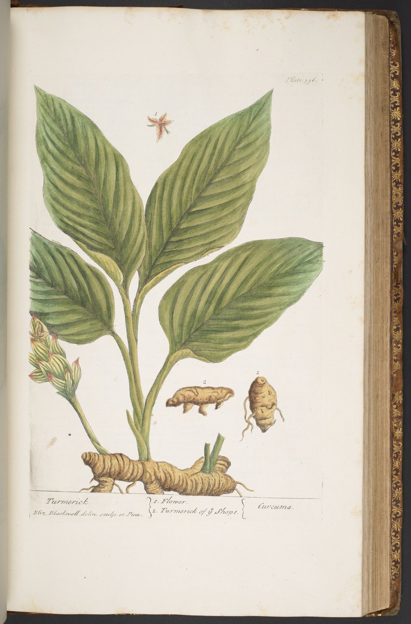 Plate 396, from 