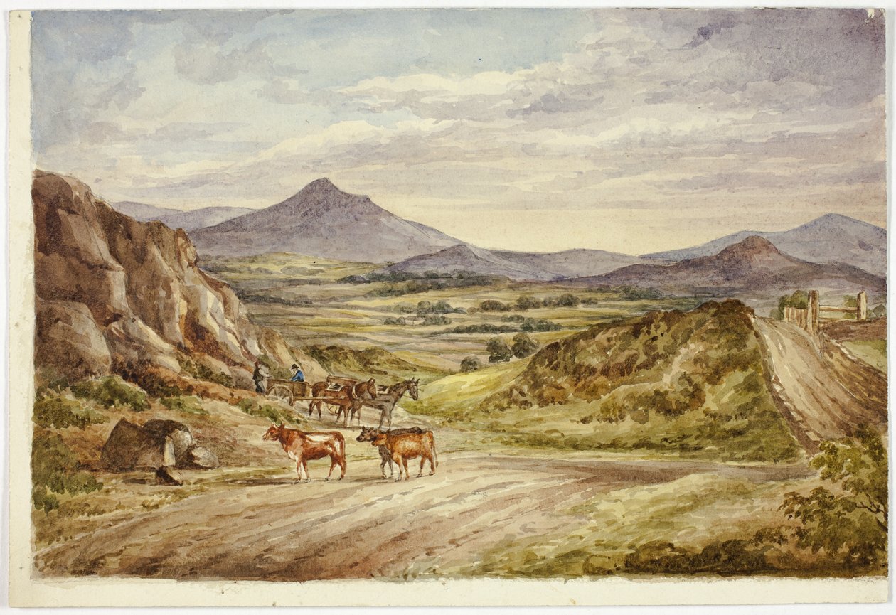 Wicklow Hills by Elizabeth Murray