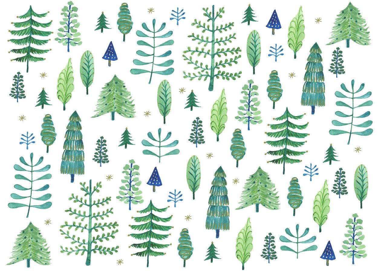 Enchanted Forest, 2017 by Elizabeth Rider