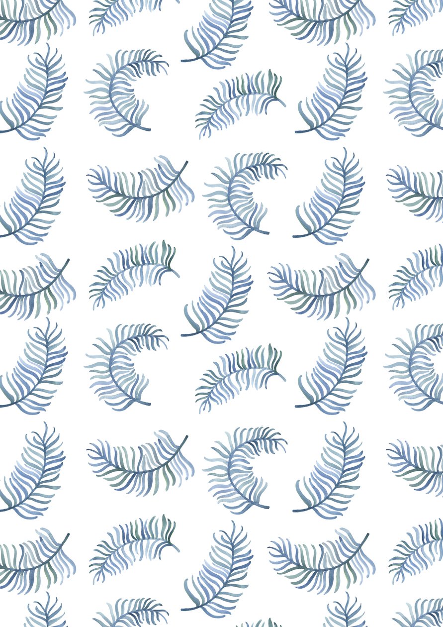 Fern Print by Elizabeth Rider