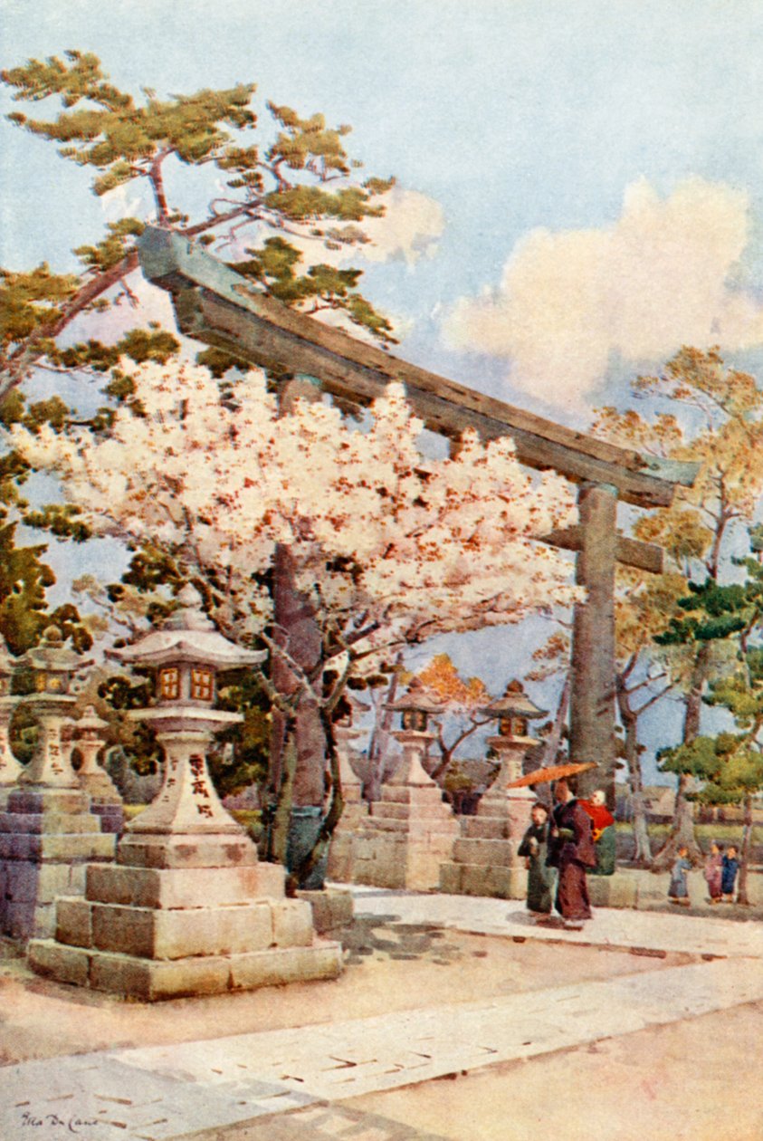 White Cherry at Kitano by Ella Du Cane