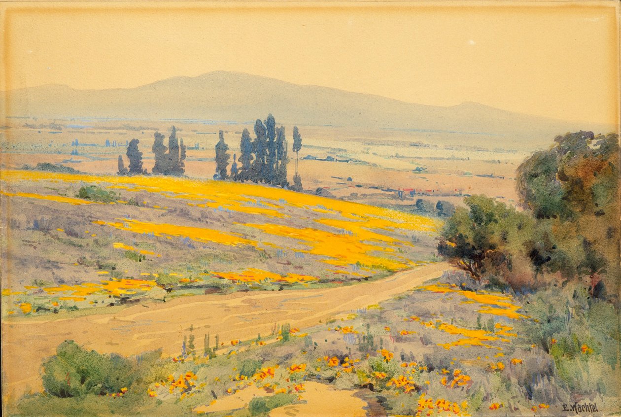 California Spring Landscape by Elmer Wachtel