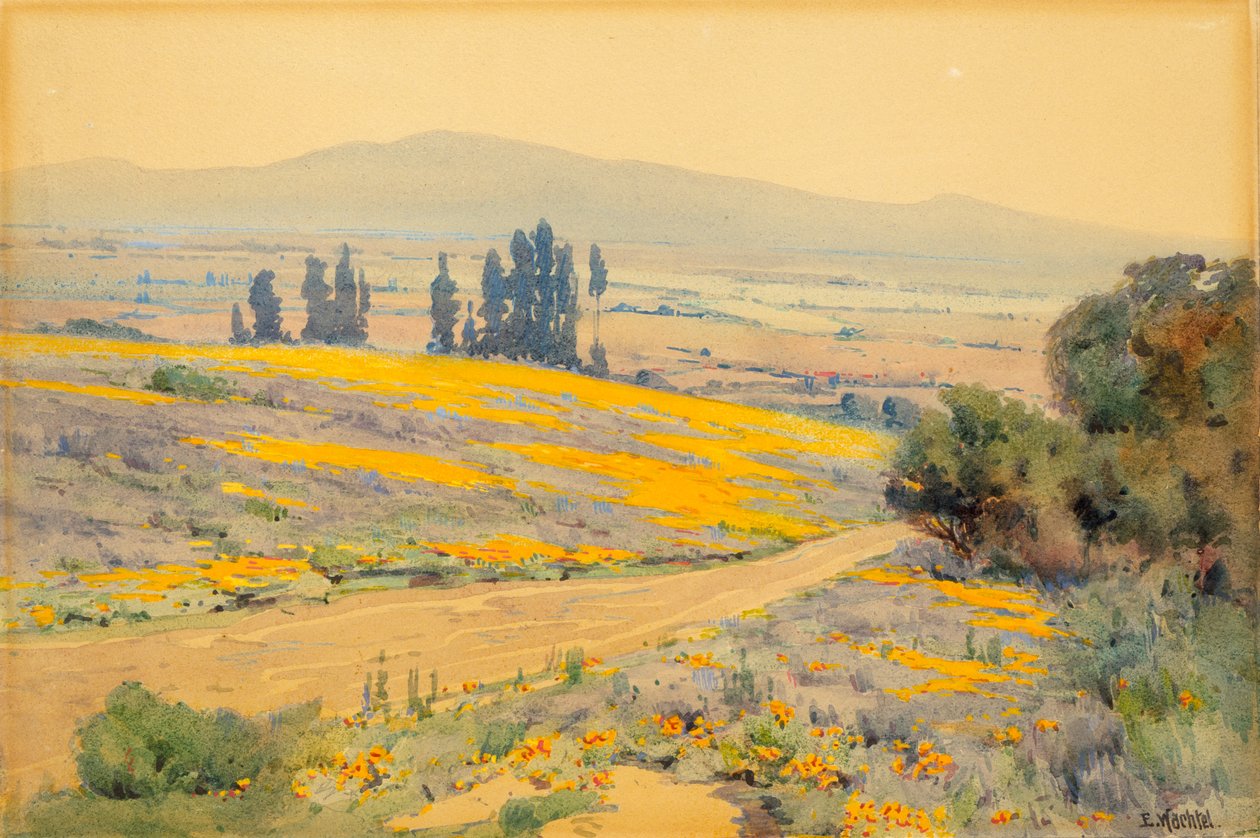 California Spring Landscape by Elmer Wachtel