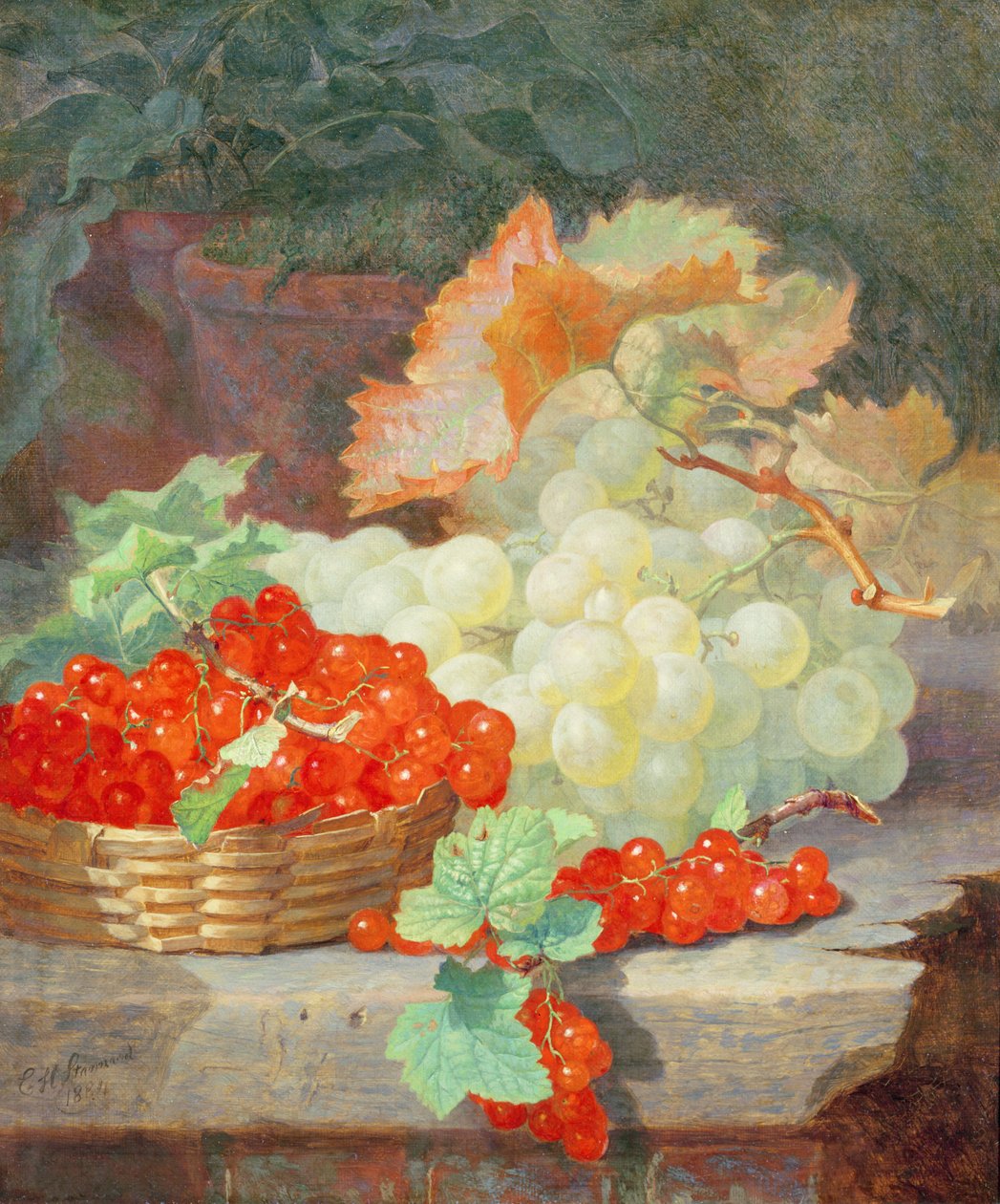 Redcurrants and Grapes by Eloise Harriet Stannard