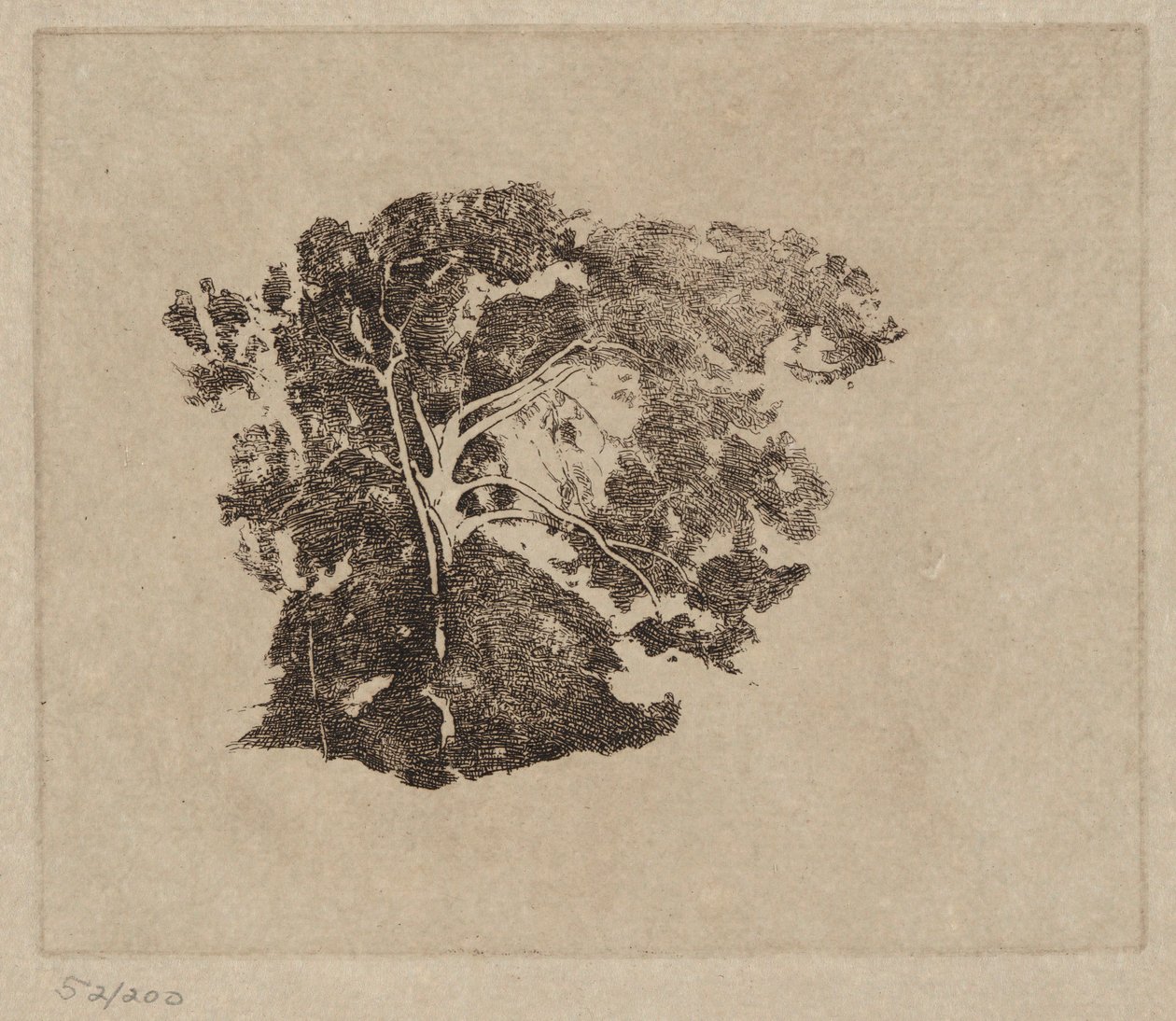 Tree Study by Emil Carlsen