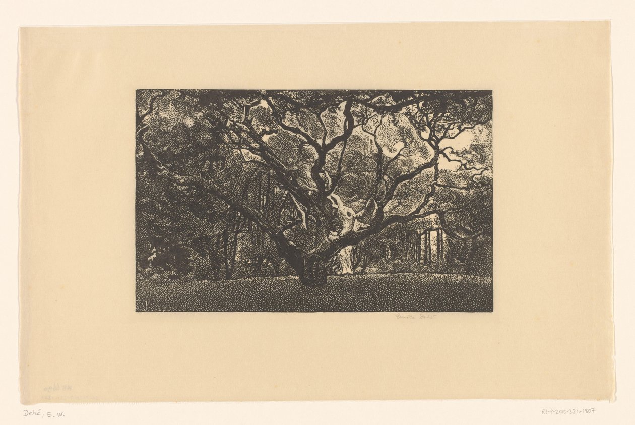 Old Tree by Emilius Wilhelmus Dehé (signed by artist)
