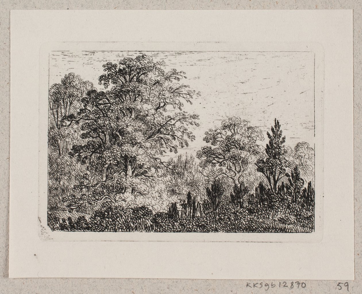 Forest Landscape by Emma Meyer