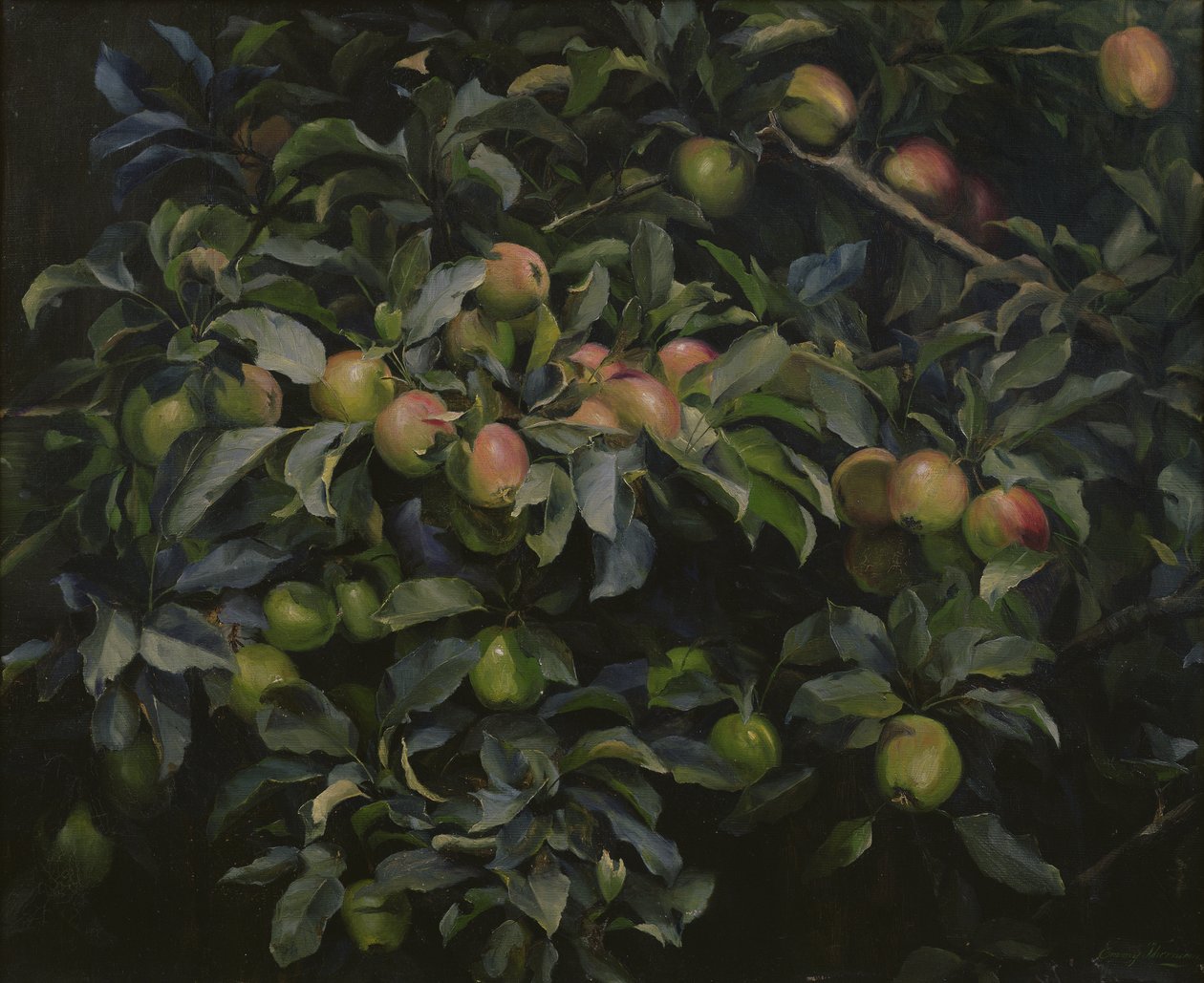 Ripe Apples by Emmy Thornam