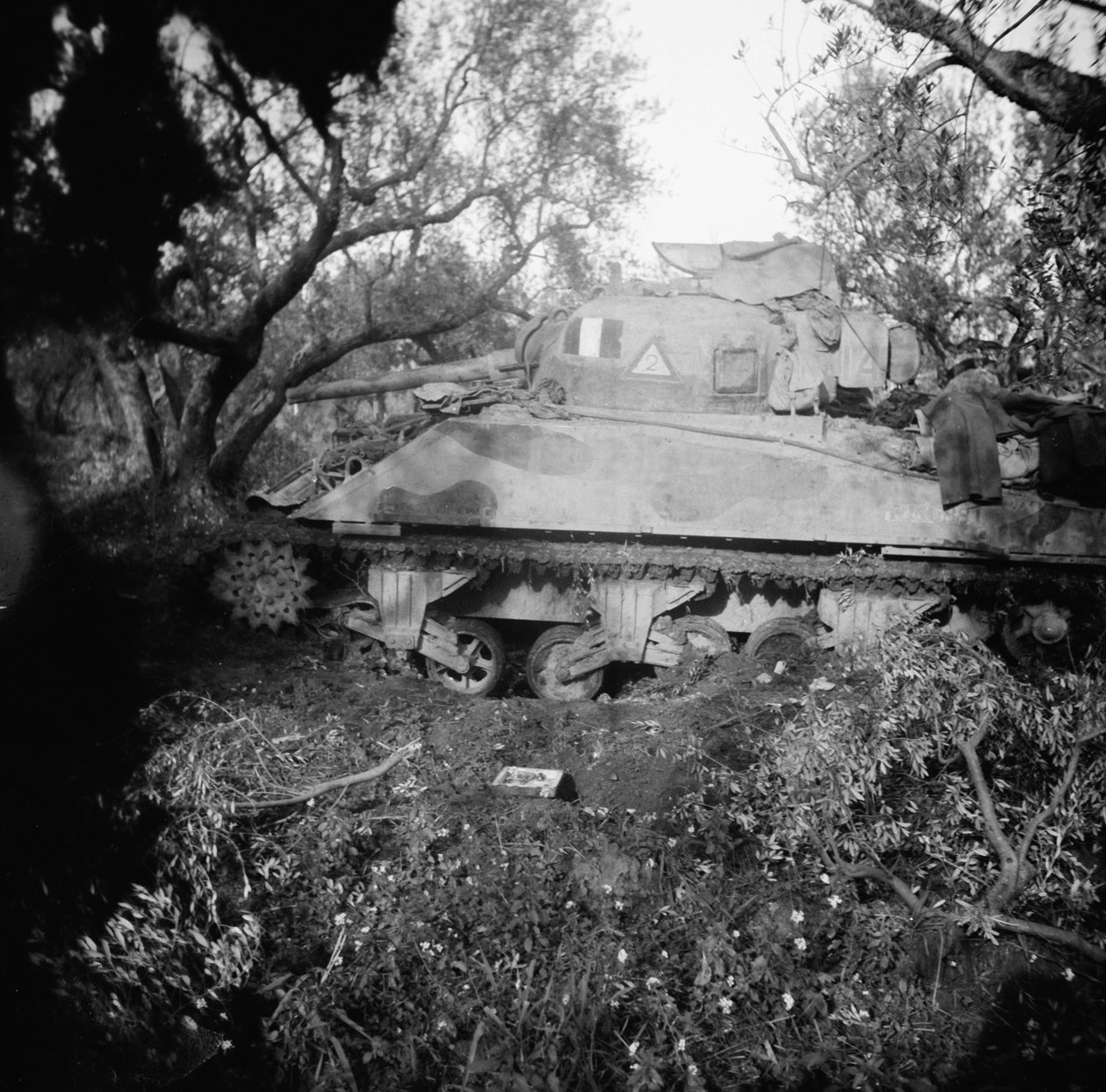 2Tp tank blown on minefield, c.1944 by English Photographer