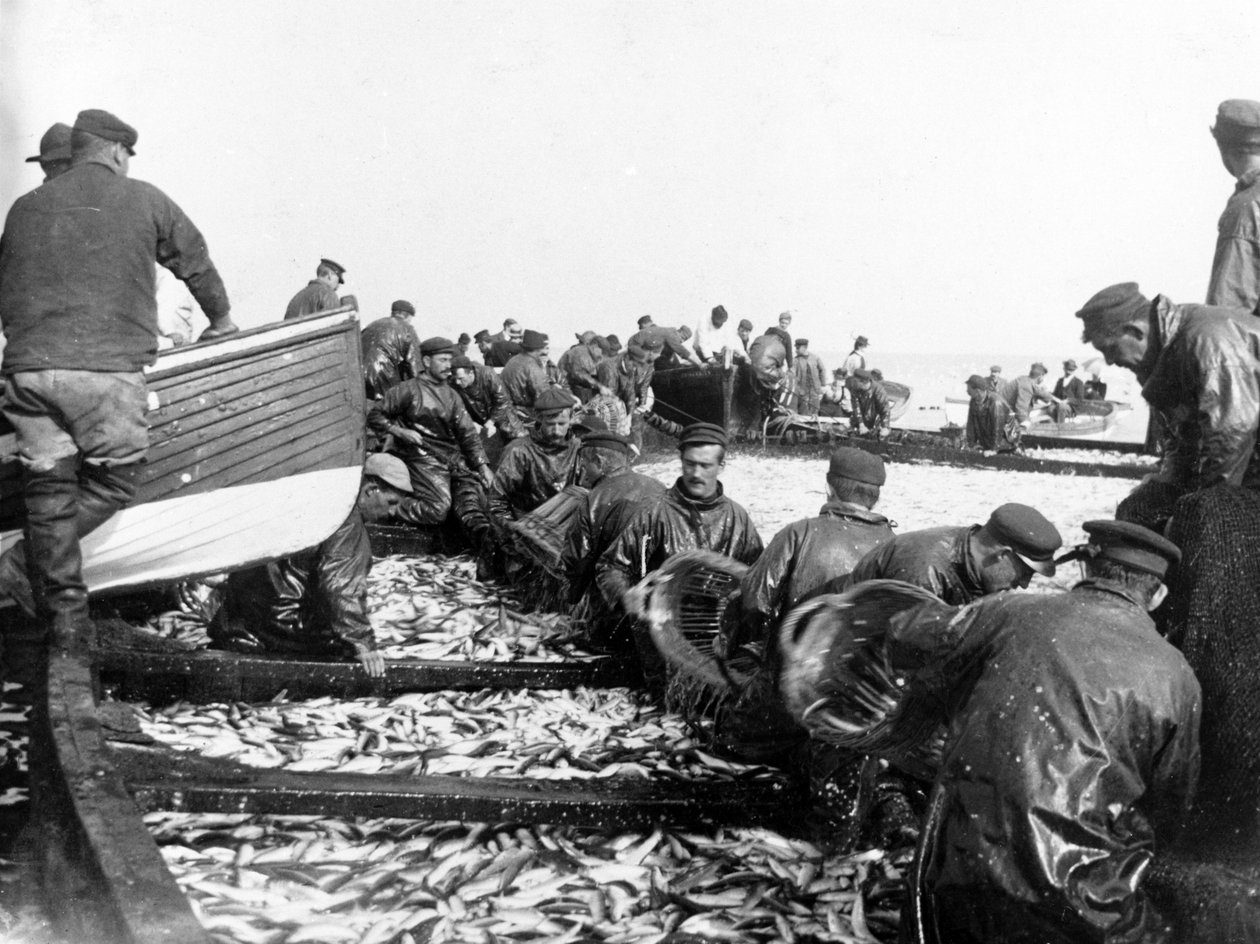 Fisherman with their Catch by English Photographer
