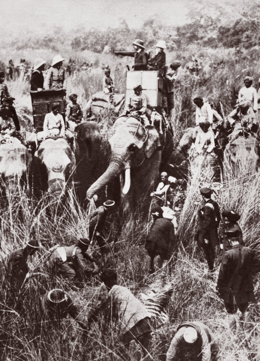 King George tiger hunting in Nepal by English Photographer