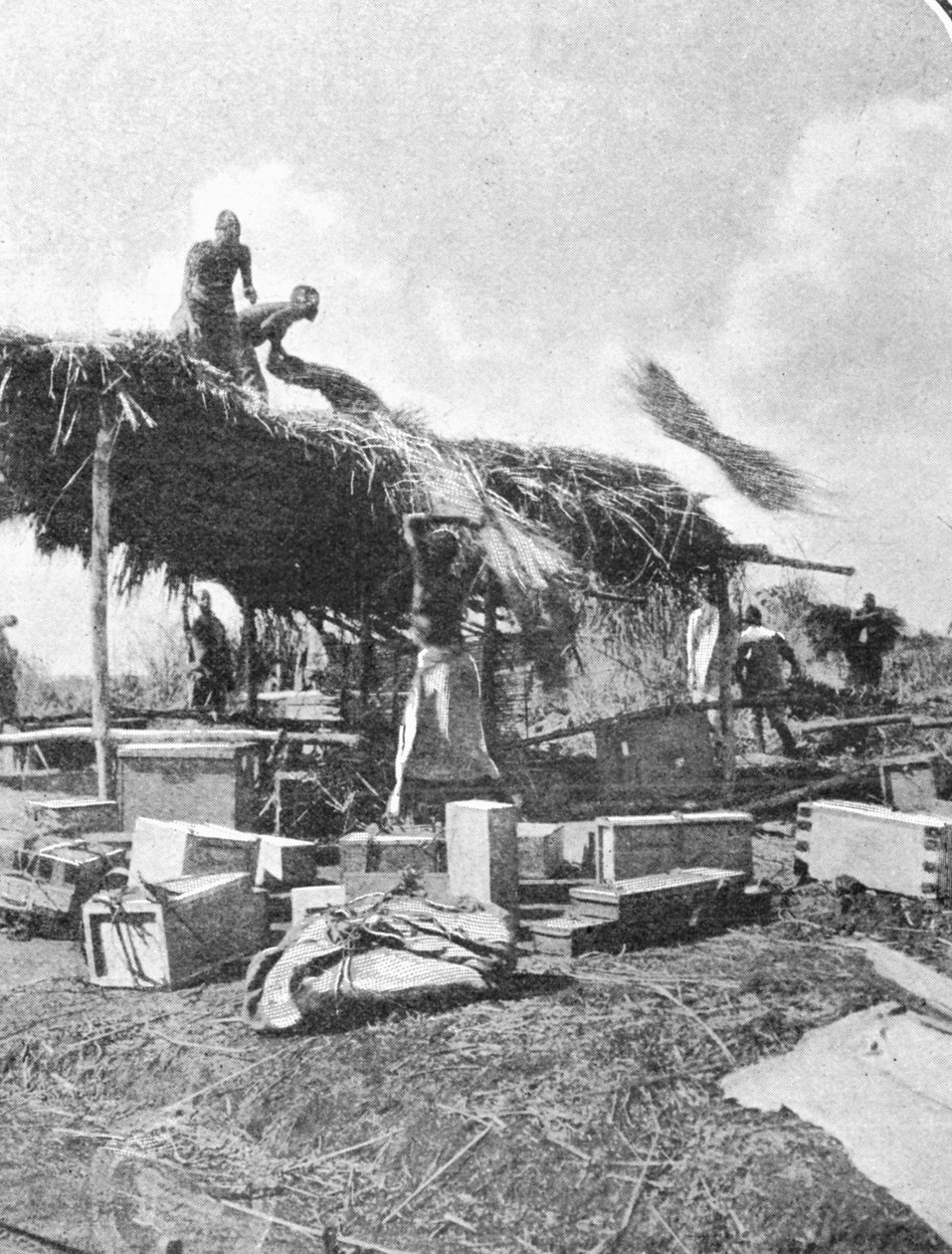 Natives Building a Rest-House, from an article entitled To the Mountains of the Moon published in The Graphic October 27th 1906 by English Photographer