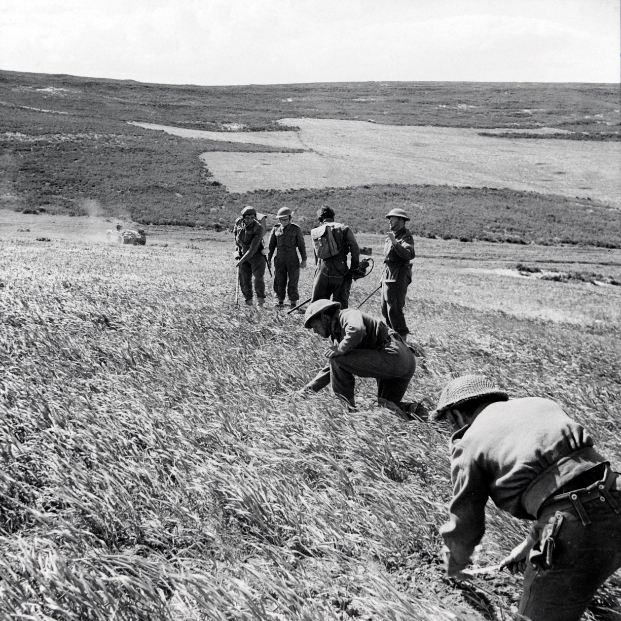 Sappers of the 237 Field Company, Royal Engineers, clearing a minefield after the First Army