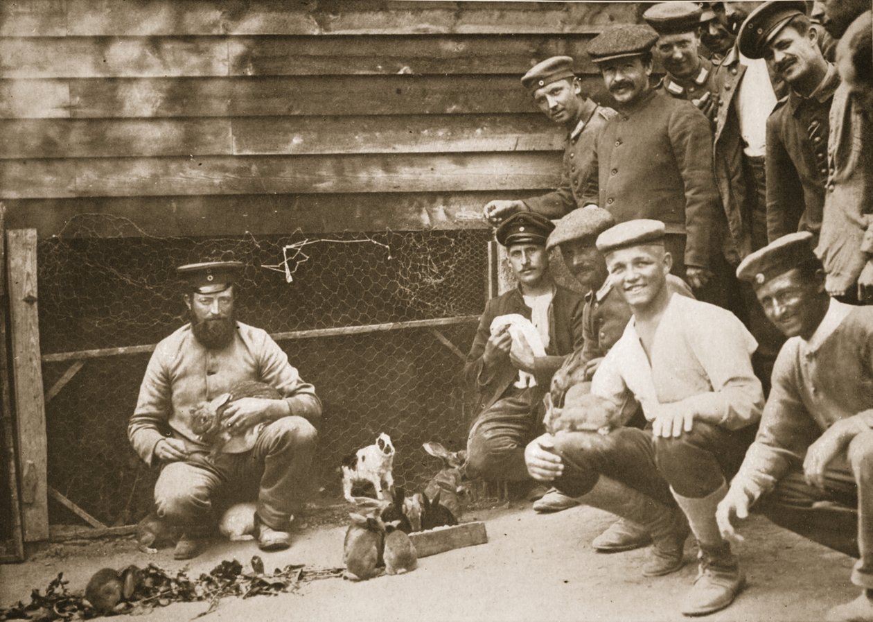 Some of the Prisoners Pets, Dorchester, illustration from German Prisoners in Great Britain by English Photographer