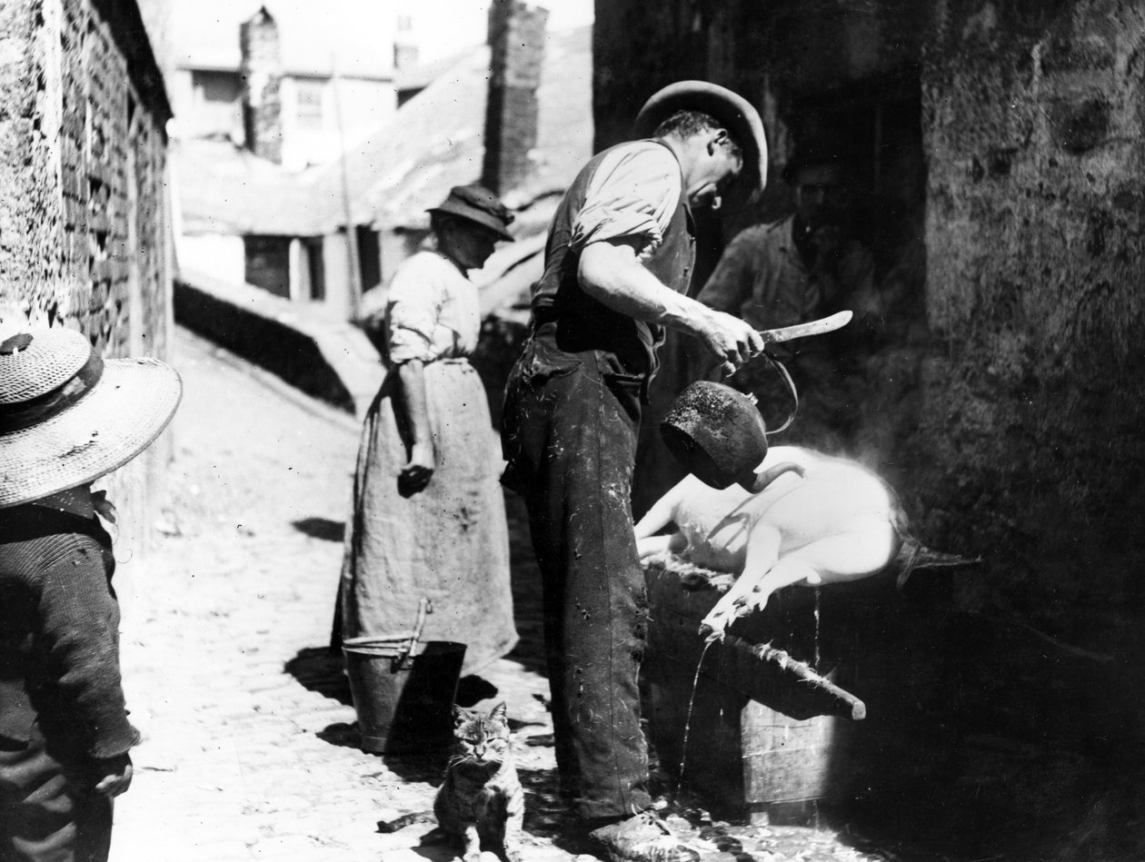 William Stevens Scalding the Pig near Norway Lane, St Ives by English Photographer