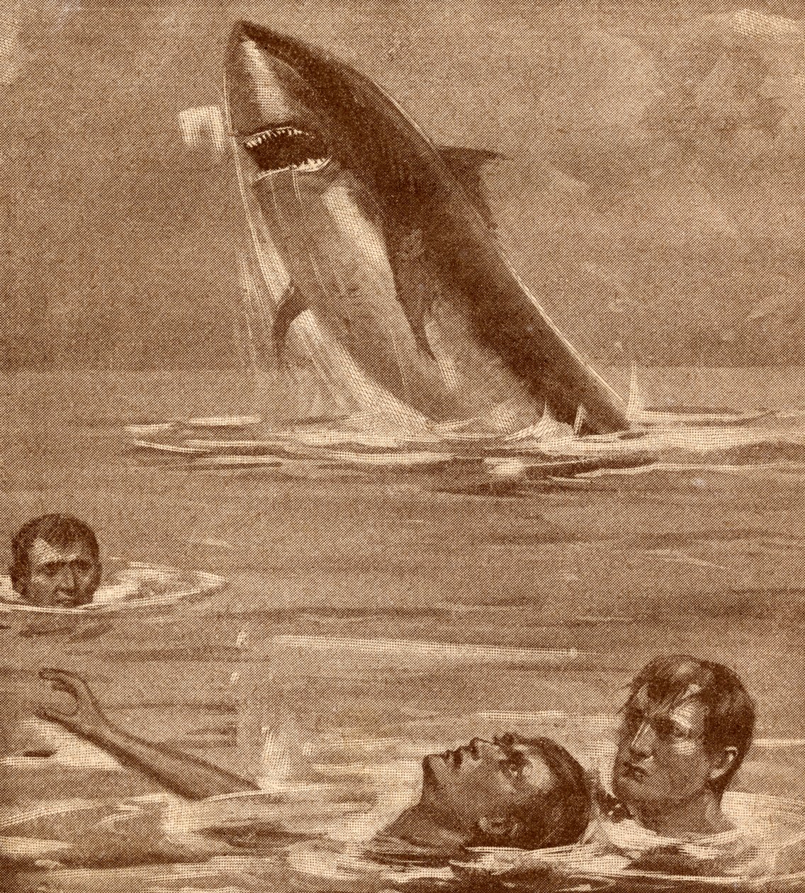 19th Century Illustration of a Man Rescuing a Swimmer with a Shark in the Background by English School