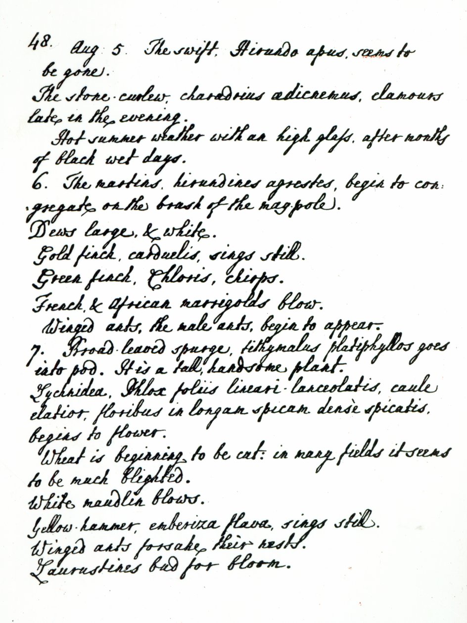 A page from the diary of Rev. James Woodforde by English School
