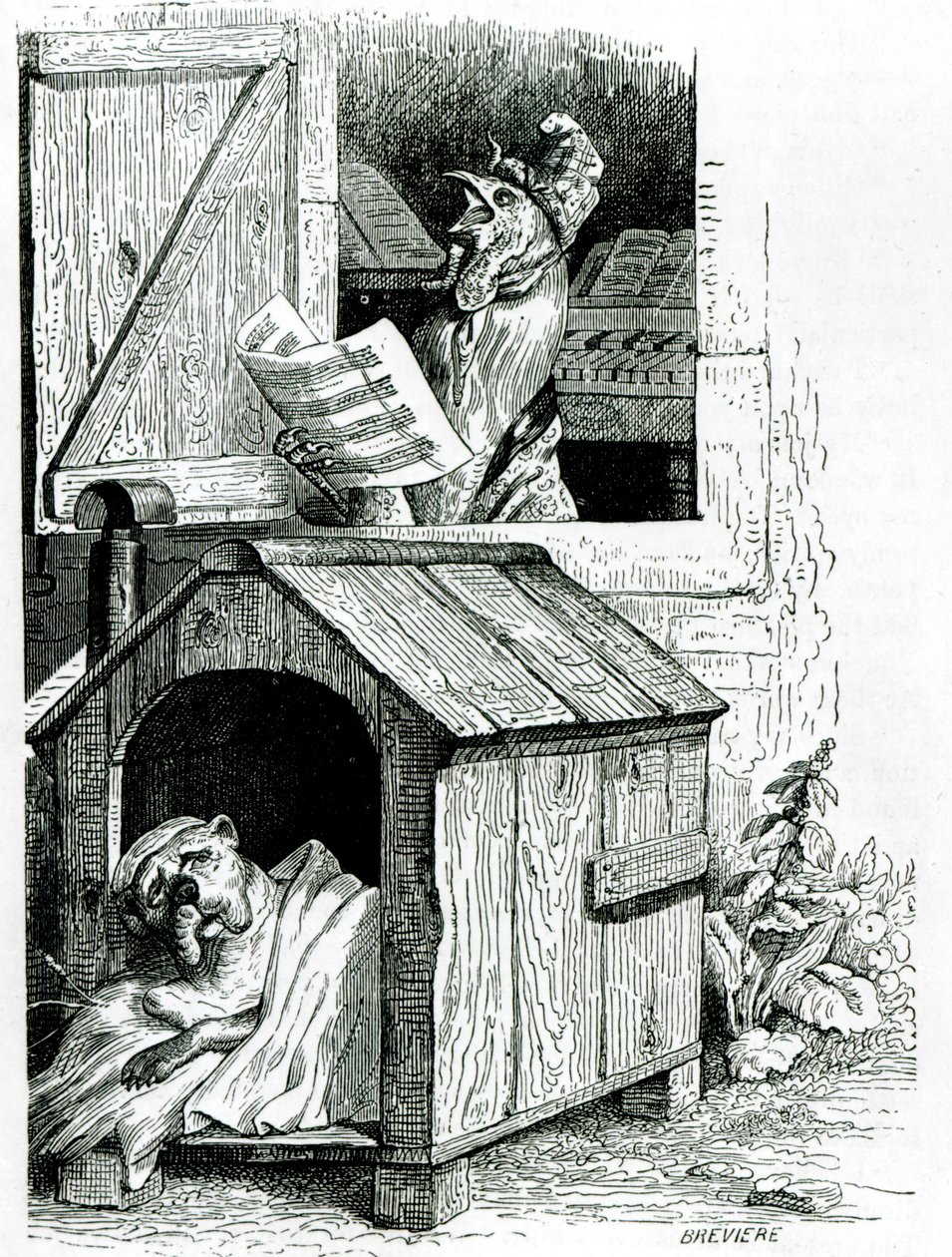 Dog sleeping and cockerel singing, from J. Thomson