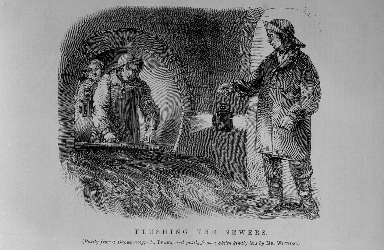 Flushing the Sewers by English School