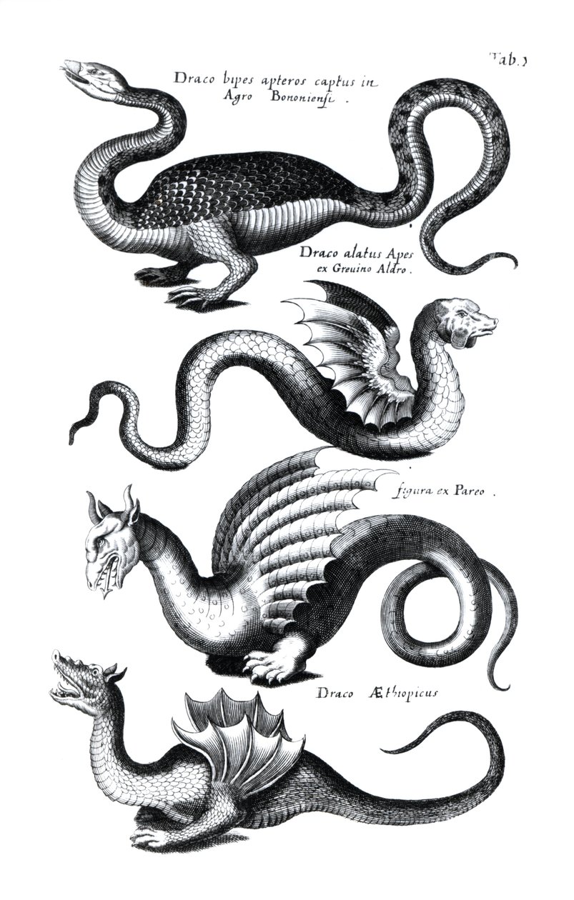 Four types of dragon by English School