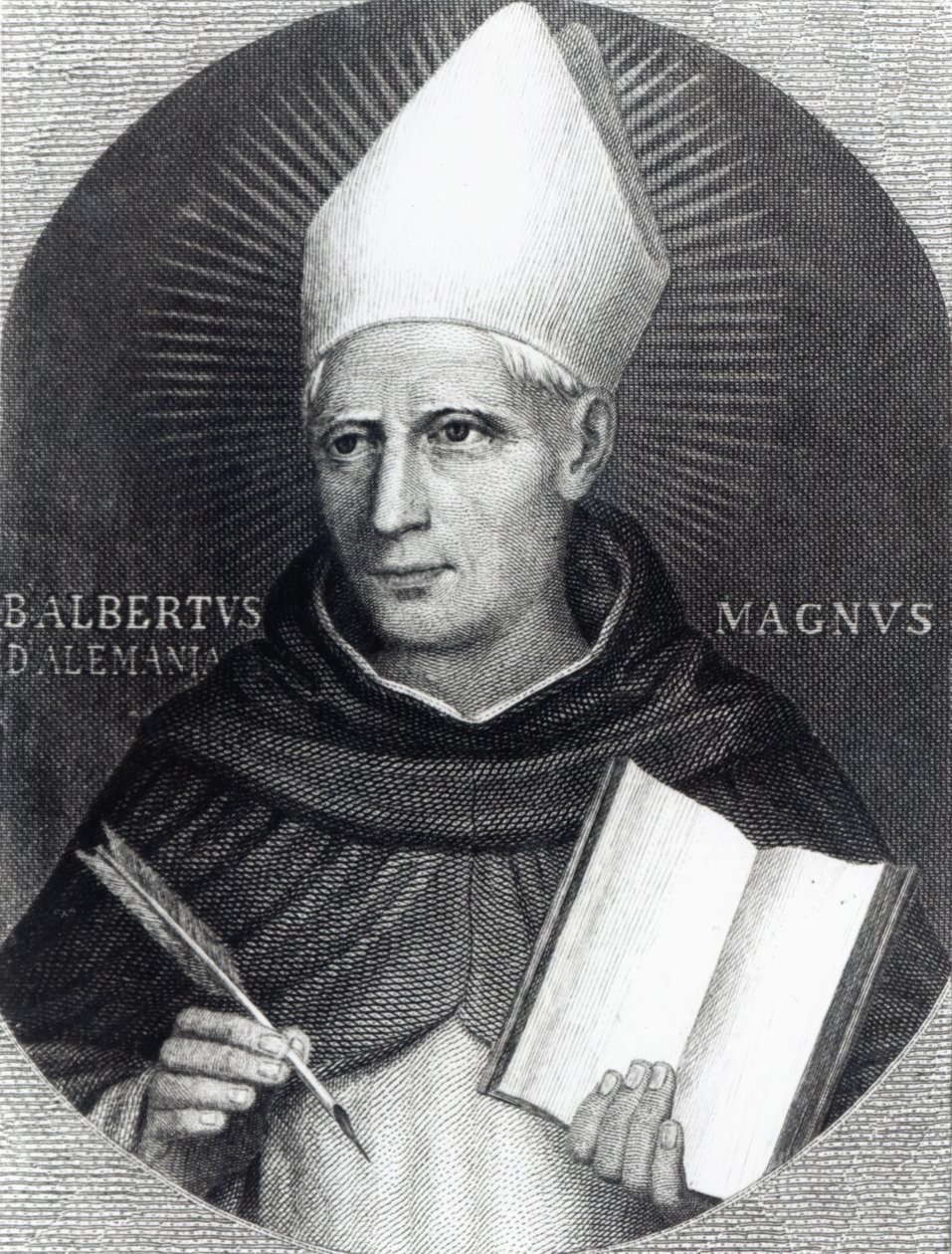 St Albertus Magnus by English School