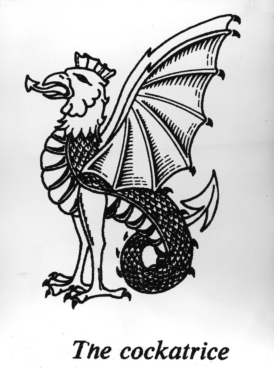 The Cockatrice by English School