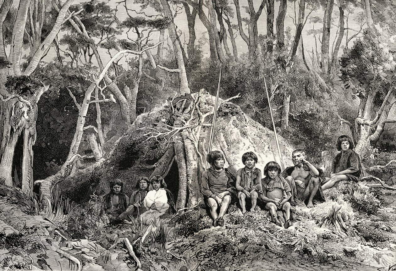 The Fuegians and their wigwams, from 