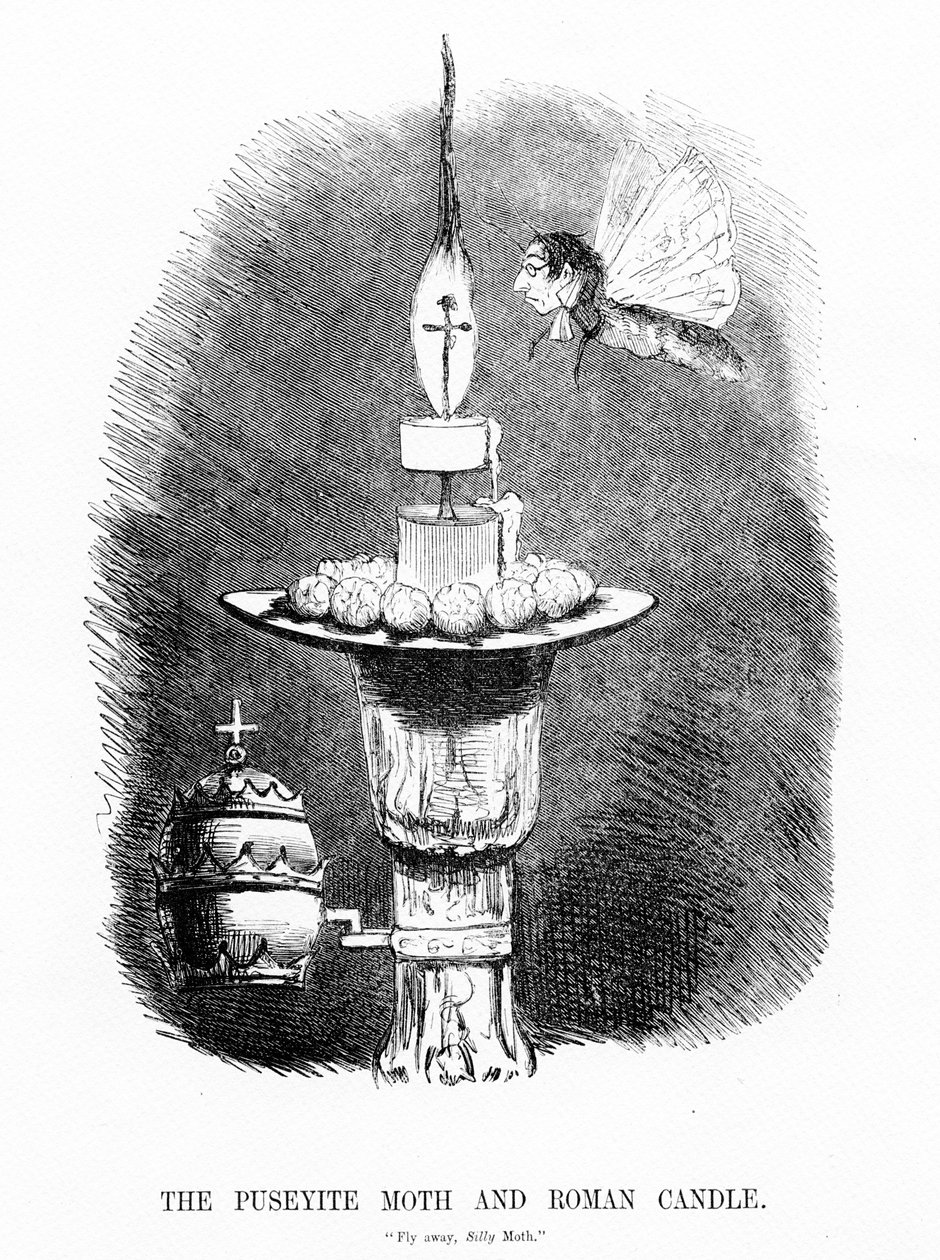 The Puseyite Moth and the Roman Candle, illustration from 