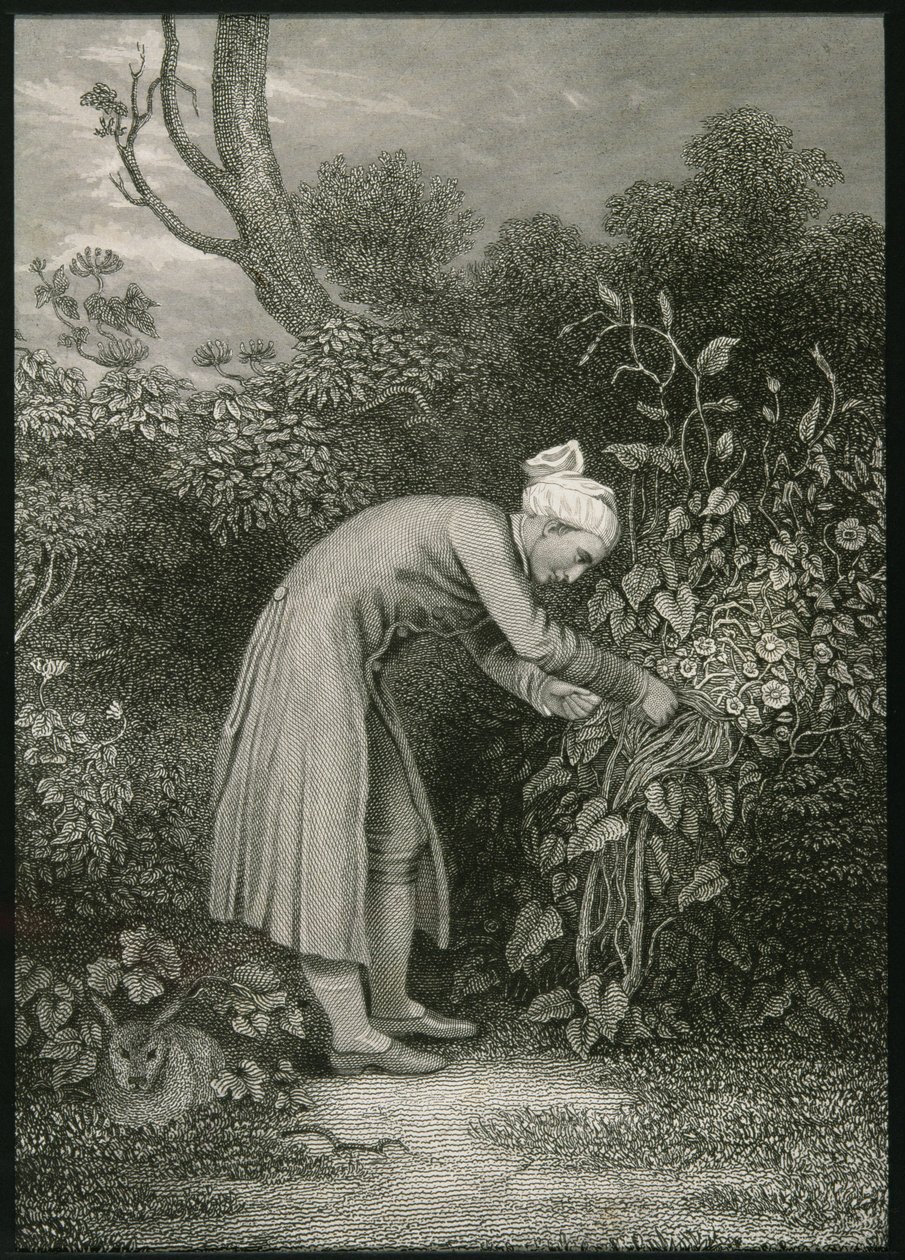 William Cowper by English School