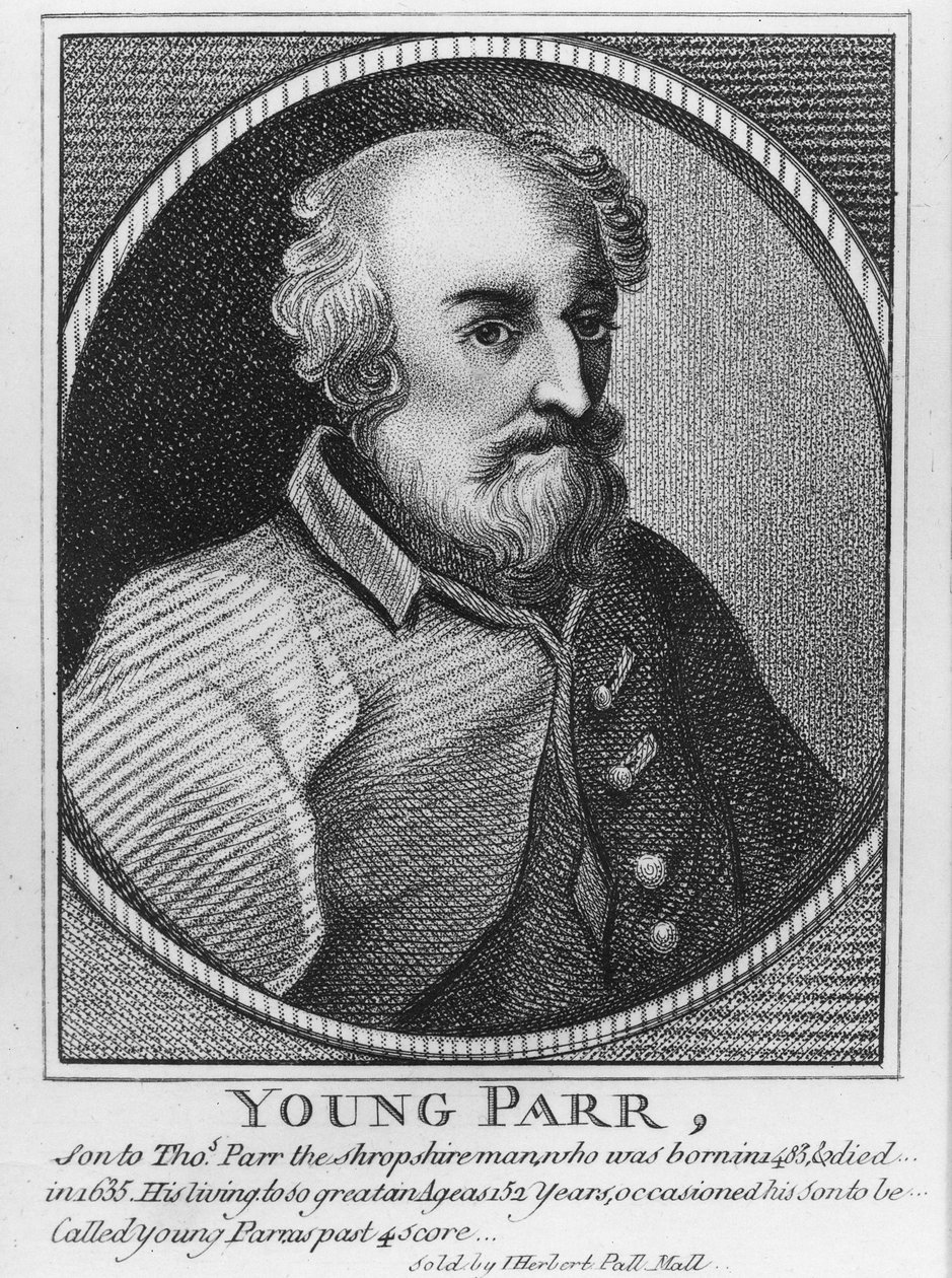 Young Parr by English School