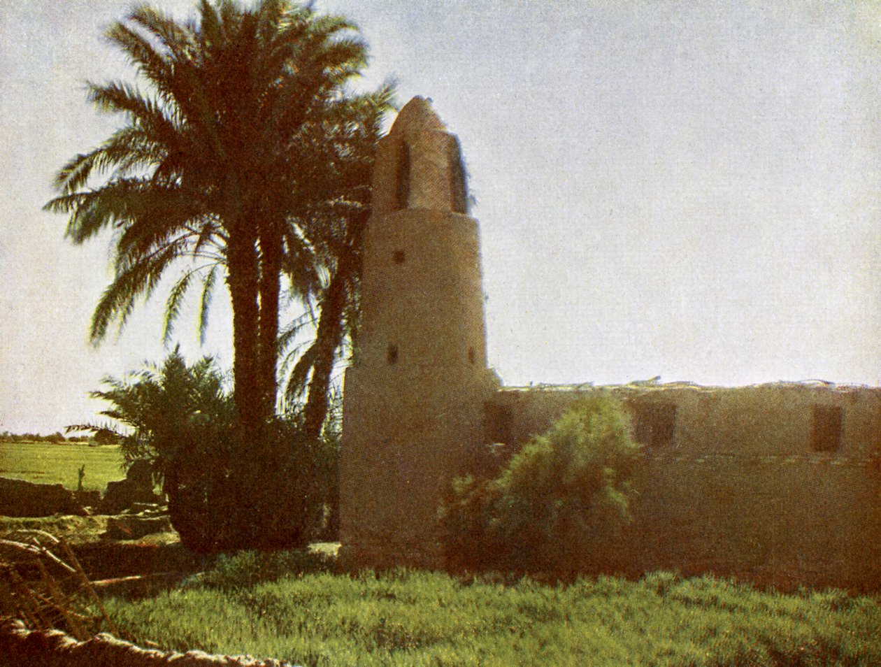 Mosque at Medamut by English Photographer