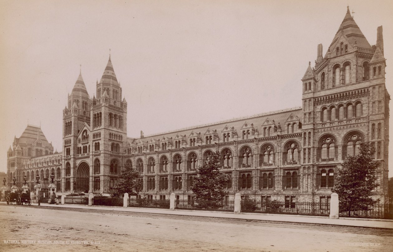 Natural History Museum, South Kensington, London by English Photographer