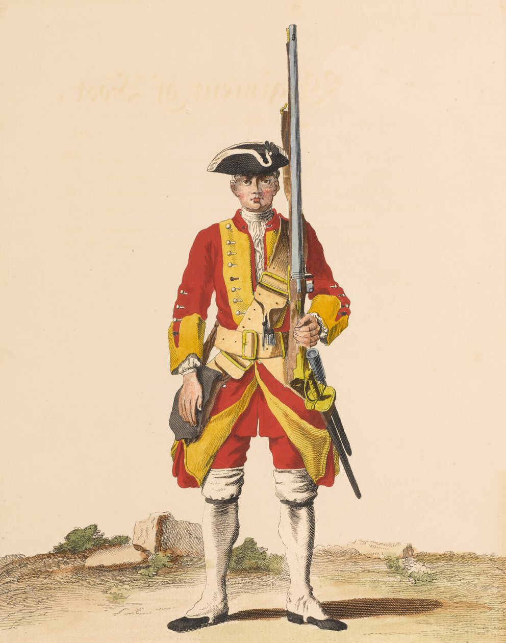 29th Regiment of Foot, c.1742 by English School