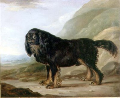 A King Charles Spaniel in a Landscape by English School