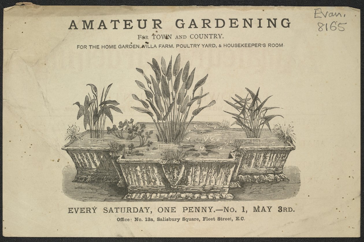 Advert for the Amateur Gardening Periodical by English School