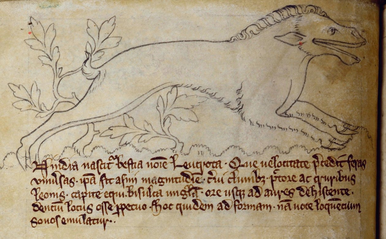 Leucrota, from Bestiary (CCA-LitMs/D/10 fol. 3v) by English School