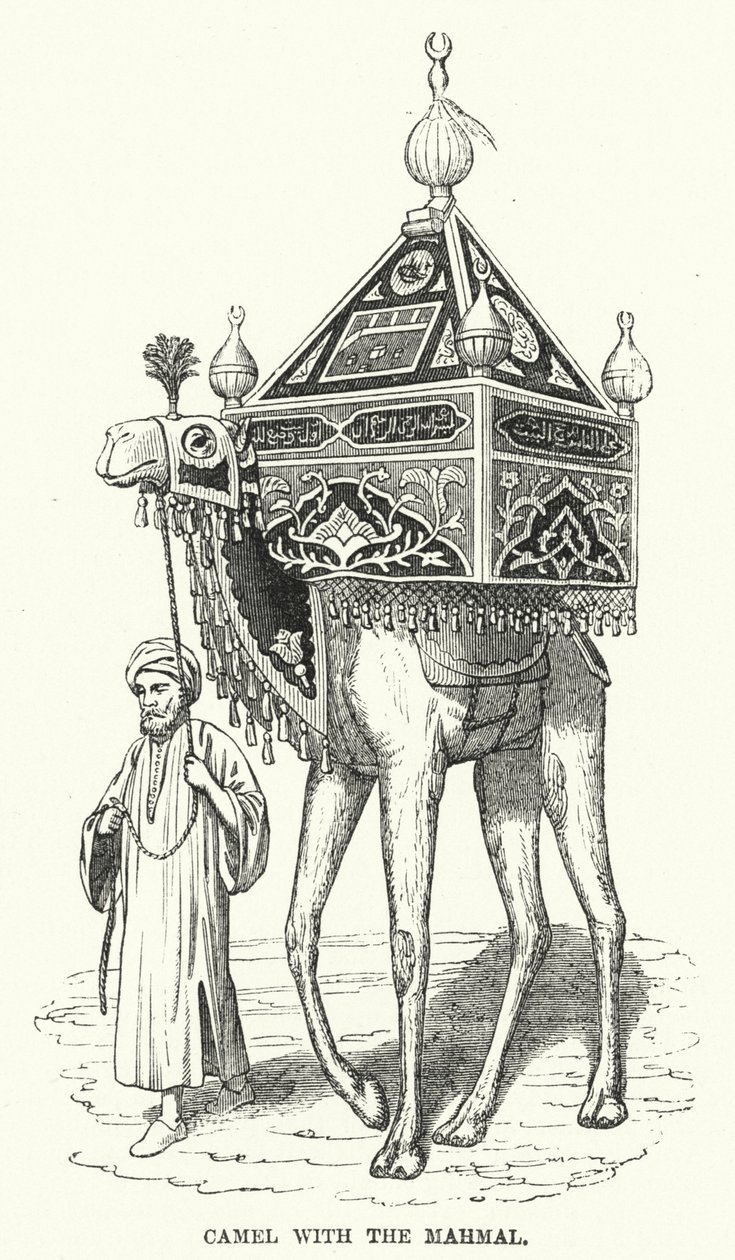 Camel with the Mahmal (engraving) by English School