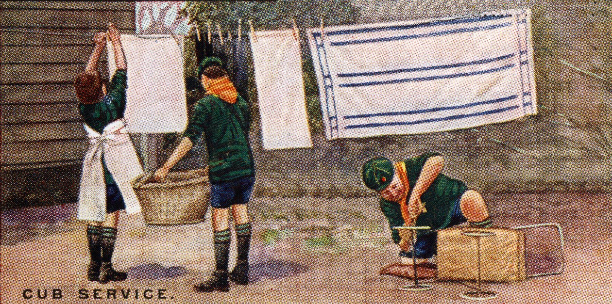 Cub Service by English School