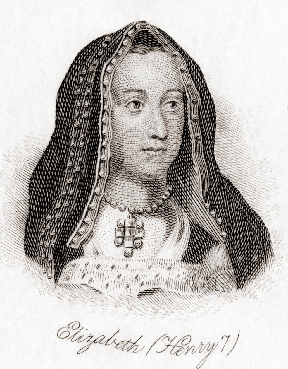 Elizabeth of York by English School