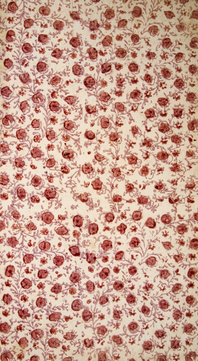 Floral Endpaper (Hand Coloured Engraving) by English School