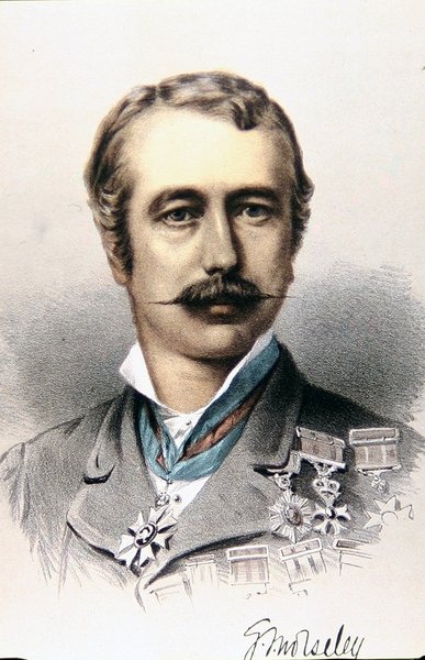 General Sir Garnet Wolseley by English School