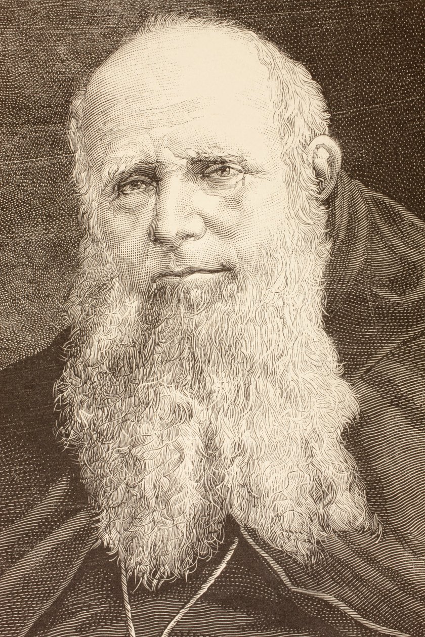 Guglielmo Massaia by English School