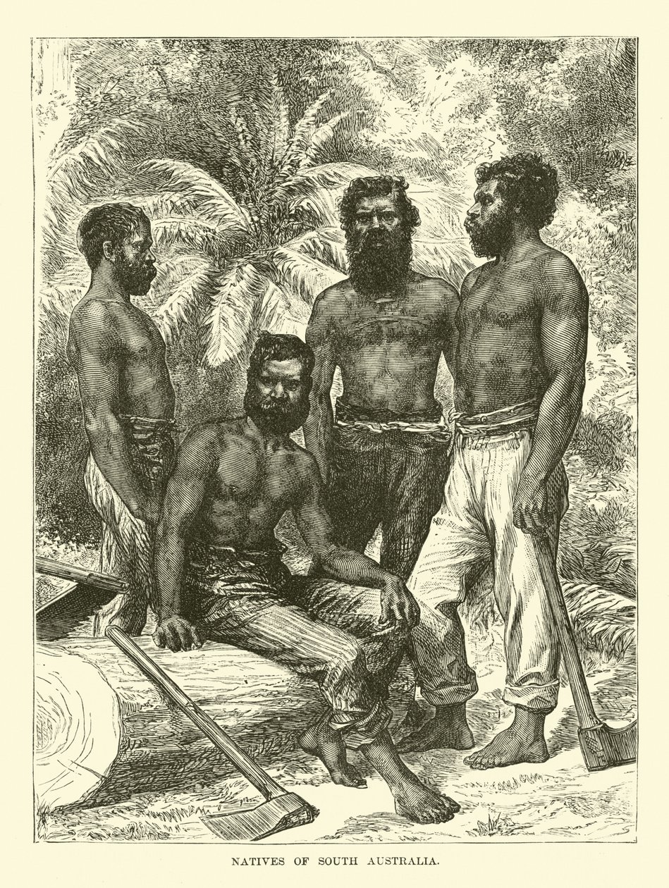 Natives of South Australia by English School